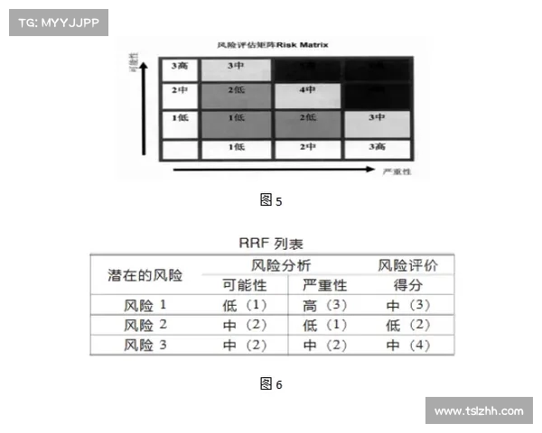 足球转会市场风险管理策略研究与应对措施分析 足球转会市场风险管理策略研究与应对措施分析