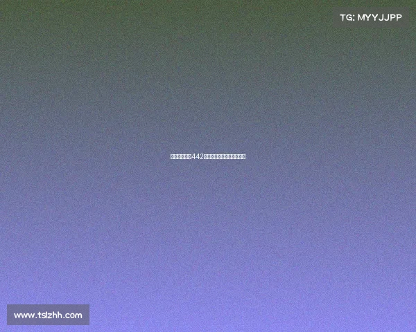 西甲球队经典442阵型解析及其战术运用探索