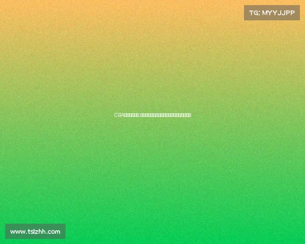 CBA官网全面升级 打造更便捷互动体验助力篮球迷畅享赛事精彩