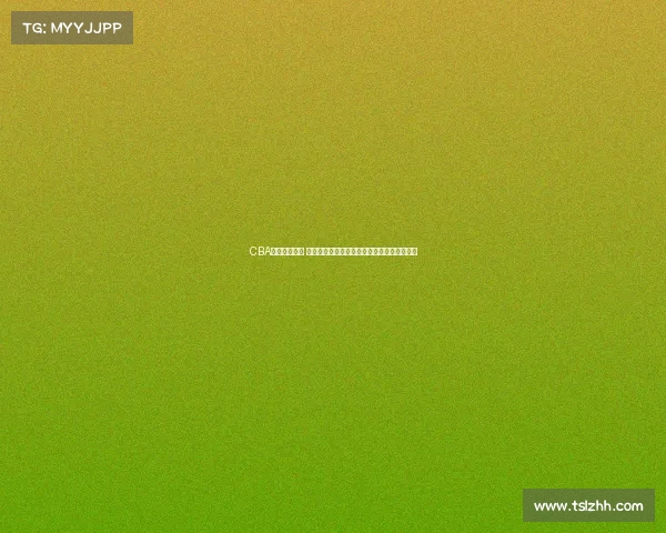 CBA官网全面升级 打造更便捷互动体验助力篮球迷畅享赛事精彩